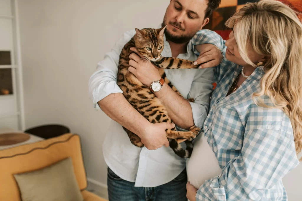 Pareja acariciando a su gato para el que pagan un seguro para mascotas.