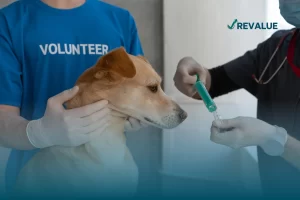 Una persona sostiene a un perro que va a ser inyectado por otra persona que está preparando el medicamento.
