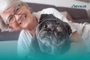 Perro pug de edad avanzada sentado con su dueña, quien cuenta con un seguro funerario para mascotas.