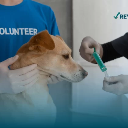 Una persona sostiene a un perro que va a ser inyectado por otra persona que está preparando el medicamento.