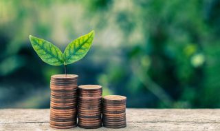 ¿cómo hacer inversiones seguras y pequeñas?