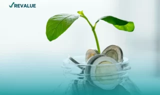 Planta de monedas floreciendo para representar el crecimiento económico por invertir en Sofipos.