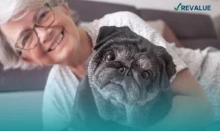 Perro pug de edad avanzada sentado con su dueña, quien cuenta con un seguro funerario para mascotas.