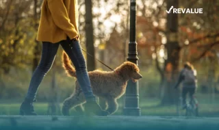 Hombre paseando a su perro con tranquilidad en un parque porque cuenta con un seguro de responsabilidad civil para mascotas.