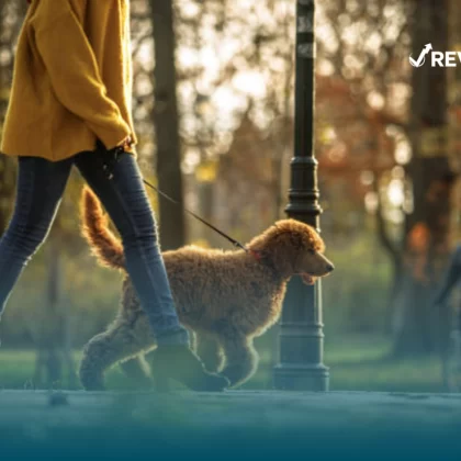 Hombre paseando a su perro con tranquilidad en un parque porque cuenta con un seguro de responsabilidad civil para mascotas.
