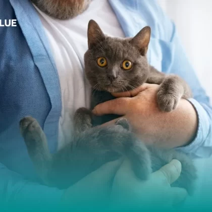 Hombre cargando un gato que cuenta con seguro médico para mascotas